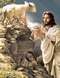 “Al desembarcar, Jesús vio una multitud y le dio lástima de ellos, porque andaban como ovejas sin pastor; y se puso a enseñarles con calma”
