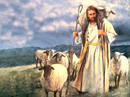Mis ovejas escuchan mi voz, y yo las conozco, y ellas me siguen, y yo les doy la vida eterna; no perecerán para siempre, y nadie las arrebatará de mi mano.