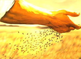 Depende de la disposición de nuestro corazón el acoger la Palabra de Dios (la Semilla) y ponerla en práctica, con miras a que nuestra alma finalmente alcance el Gozo Eterno en el Cielo