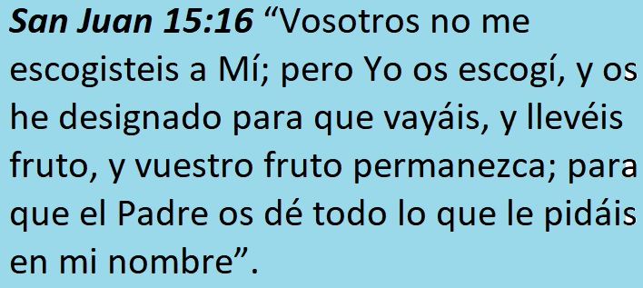 La vocación es un llamado de Dios. Es Dios el que llama, el que da la vocación. Las Sagradas Escrituras lo explican suficientemente.